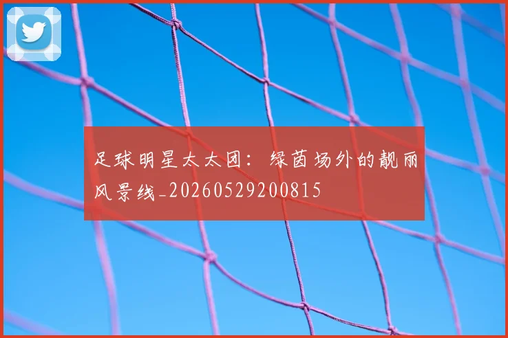 足球明星太太团:绿茵场外的靓丽风景线_20260529200815