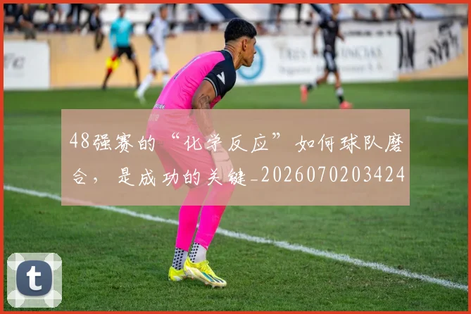 48强赛的“化学反应”如何球队磨合,是成功的关键_20260702034240