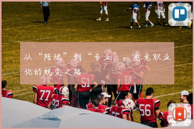 从“陪玩”到“专业”，电竞职业化的蜕变之路