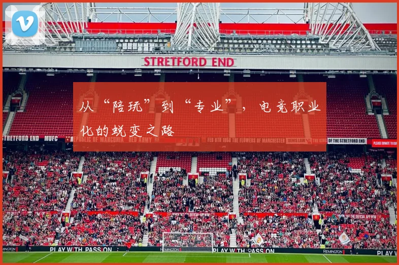 从“陪玩”到“专业”，电竞职业化的蜕变之路