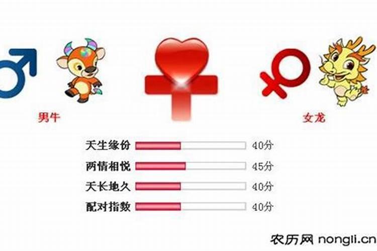 属龙女和属什么好婚姻配对?属龙女和属什么好婚姻配对呢