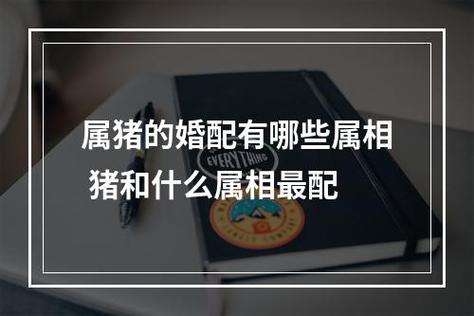 生肖女猪婚姻配对什么好?生肖女猪和什么生肖最配婚