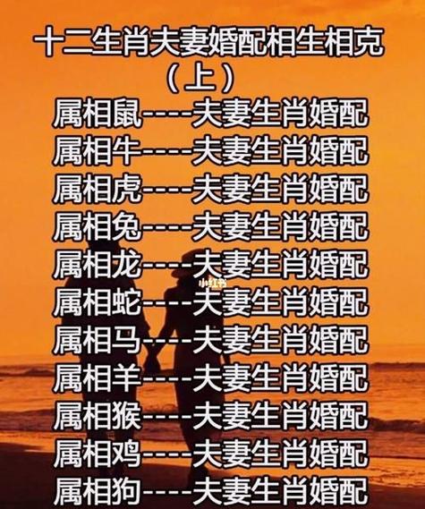 属相的最佳配对羊和羊的婚姻?羊和生肖最配