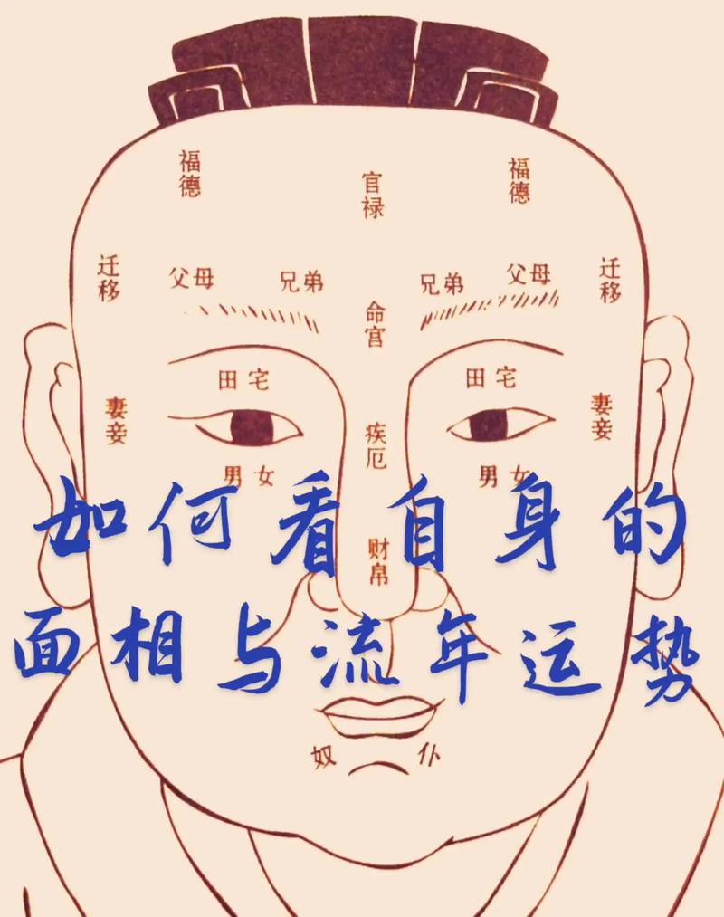 短鼻子运势破解?短鼻子面相