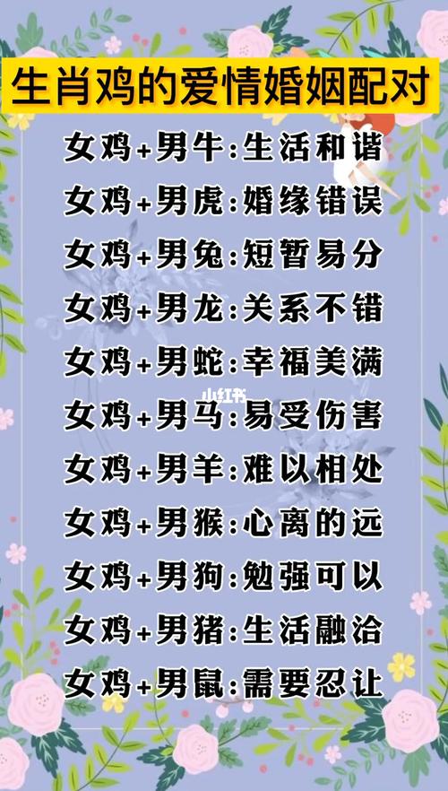 属相兔最佳婚姻配对表图?属兔的属相最配的对表